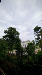 Hume Park I (D21), Condominium #583445871